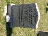 image of grave number 729483